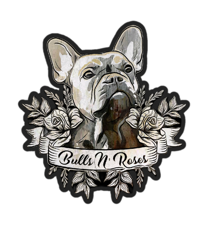 Französische Bulldogge Welpen von den besten Züchtern